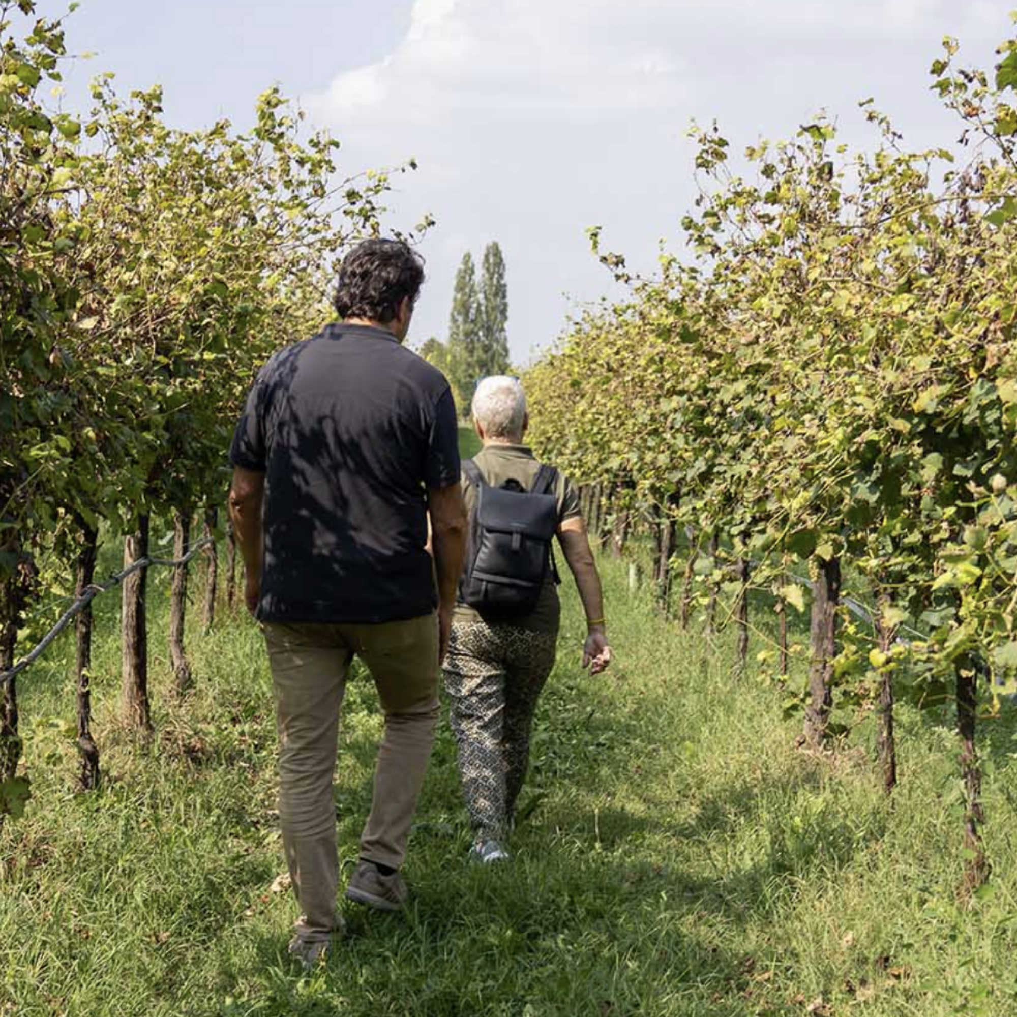 Silver Organic Balsamic Vinegar de Modena IGP - Guerzoni